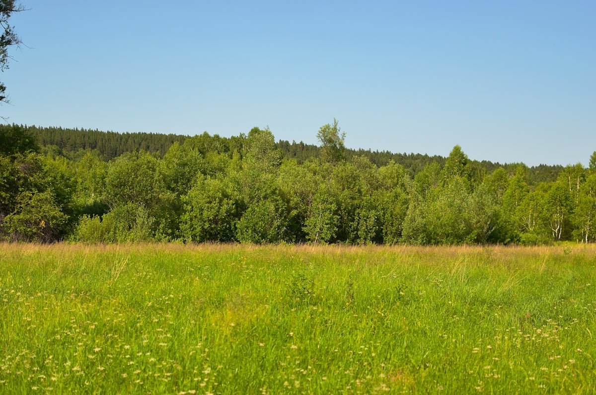Sanna: Delving into the Truthful Traditions of This Finnish Treasure - Oli Prik Copenhagen